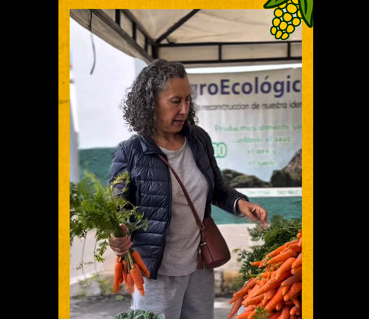 Los |mercados campesinos| dinamizan la |economía| y fortalecen la identidad local los fines de semana + Video