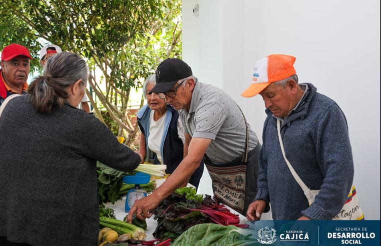 |Huertas comunitarias| fortalecen la seguridad alimentaria y el bienestar en |Cajicá|