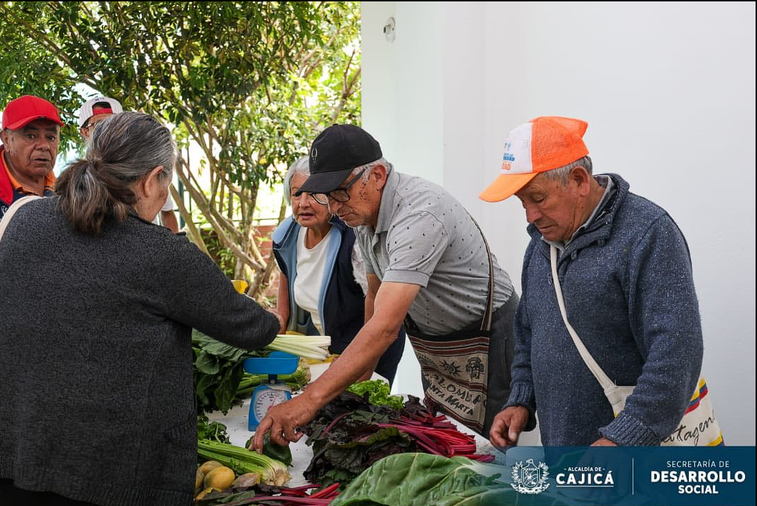 |Huertas comunitarias| fortalecen la seguridad alimentaria y el bienestar en |Cajicá|