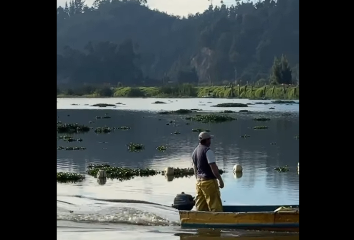 Comunidades de la |laguna de Fúquene| destacan resultados que transforman su territorio + Video