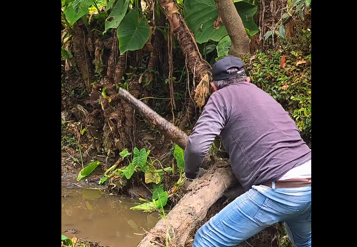 Jornada comunitaria en defensa de la |Quebrada Padre Otero|  + Video