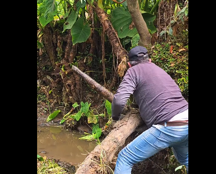 Jornada comunitaria en defensa de la |Quebrada Padre Otero|  + Video