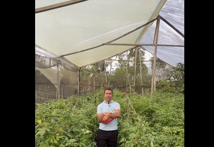 |Tibirita|, referente nacional en la producción de |frambuesa| y |desarrollo integral| + Video