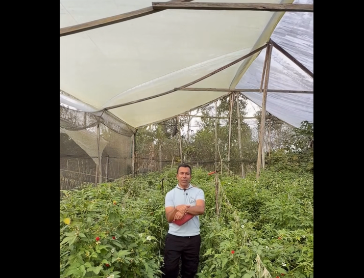 |Tibirita|, referente nacional en la producción de |frambuesa| y |desarrollo integral| + Video