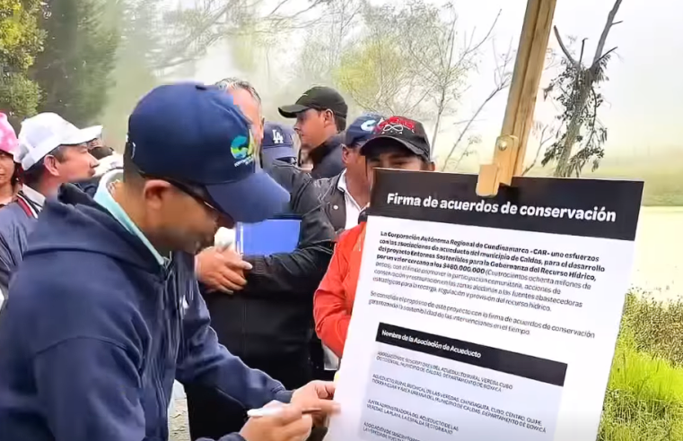 Entornos TV: disponible el octavo capítulo con acciones por la |protección ambiental| + Video