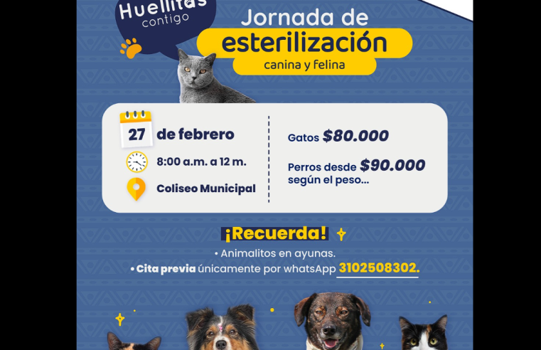 |Sopó| realizará jornada de |esterilización| canina y felina
