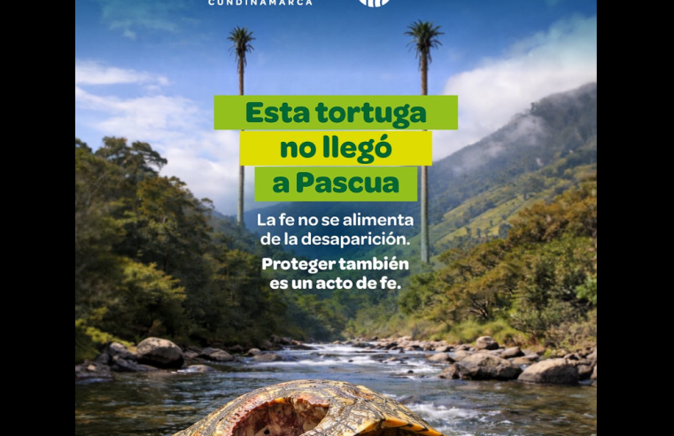 |Cuidar la naturaleza| también es un acto de fe
