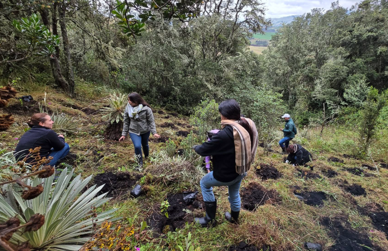 Inicia la primera |jornada de siembra| de 2026 en |Cogua|