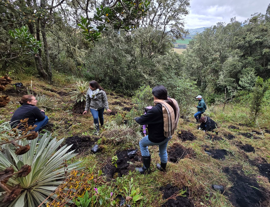 Inicia la primera |jornada de siembra| de 2026 en |Cogua|