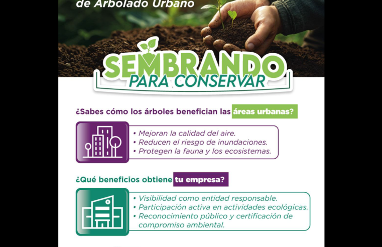 “Sembrando para Conservar”: |Tocancipá| impulsa el |arbolado urbano|