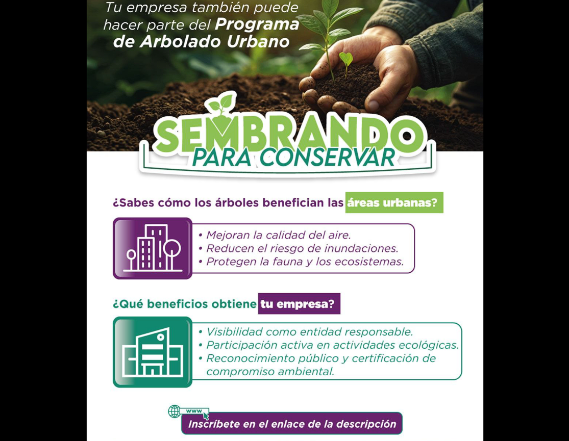 “Sembrando para Conservar”: |Tocancipá| impulsa el |arbolado urbano|