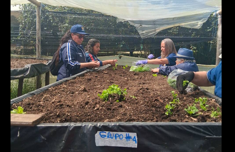 Adultos mayores de |Sopó| adelantan jornada de adecuación de la huerta del |Centro Día|