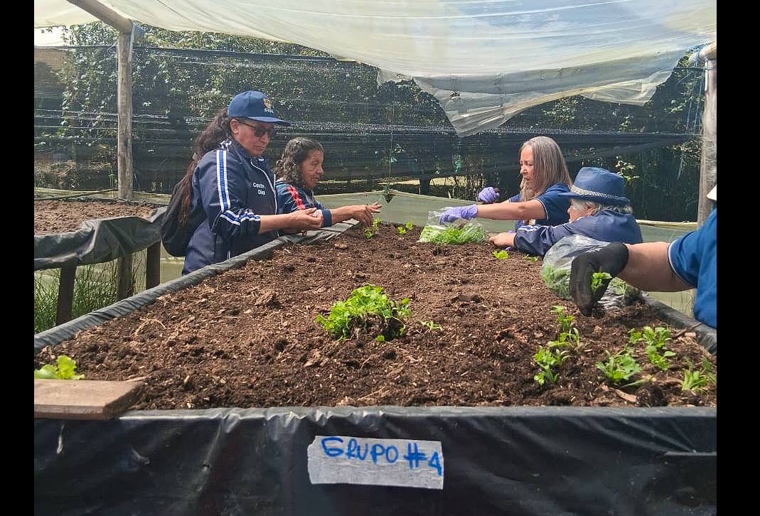 Adultos mayores de |Sopó| adelantan jornada de adecuación de la huerta del |Centro Día|