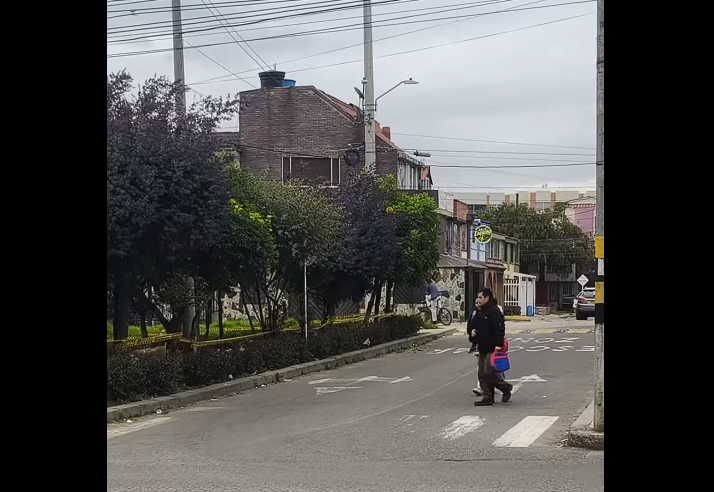 Instalan reductores de velocidad para mejorar la |seguridad vial| + Video
