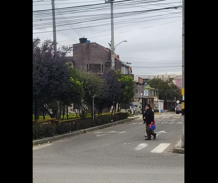 Instalan reductores de velocidad para mejorar la |seguridad vial| + Video