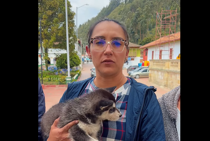 |Nemocón| restringe tenencia de mascotas a ciudadano para proteger el |bienestar animal| + Video