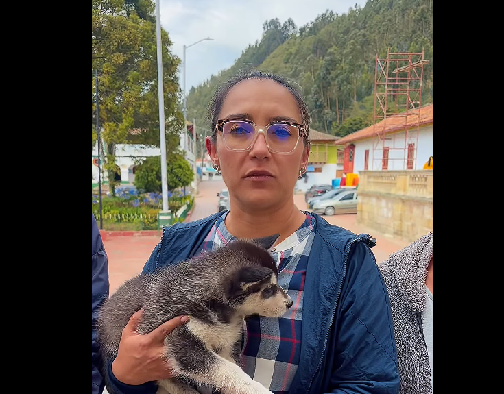 |Nemocón| restringe tenencia de mascotas a ciudadano para proteger el |bienestar animal| + Video
