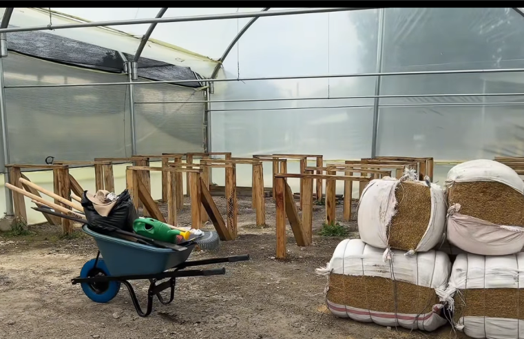 |CAR| impulsa aulas ambientales forestales para fortalecer la reforestación en |Cundinamarca| + Video