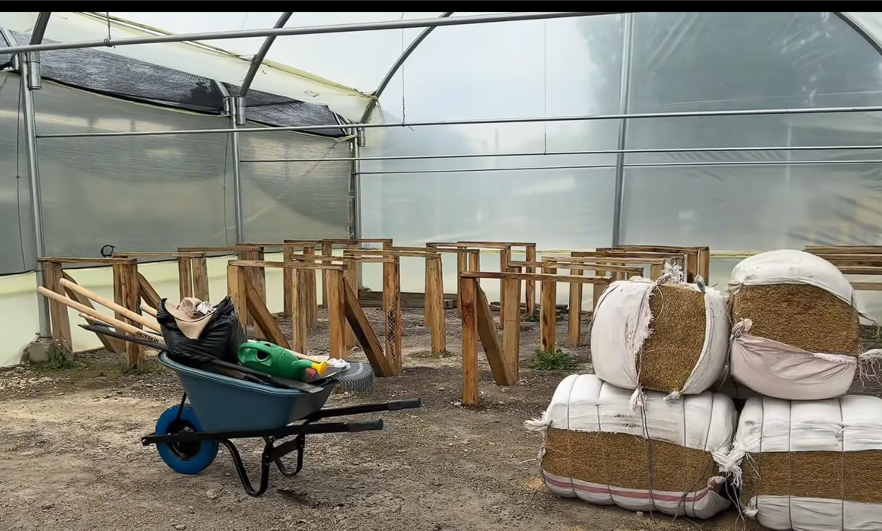 |CAR| impulsa aulas ambientales forestales para fortalecer la reforestación en |Cundinamarca| + Video