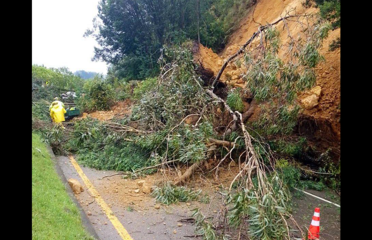 |Fuertes lluvias| generan más de 14 |emergencias viales| en |Cundinamarca|
