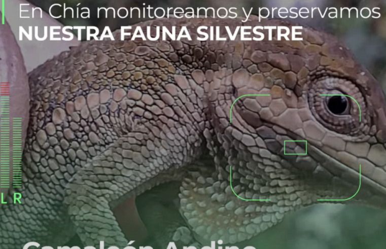 Administración Municipal de |Chía| monitorea predios de |conservación hídrica| en los cerros orientales + Video