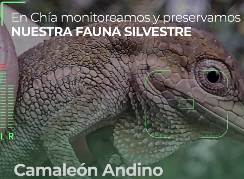 Administración Municipal de |Chía| monitorea predios de |conservación hídrica| en los cerros orientales + Video