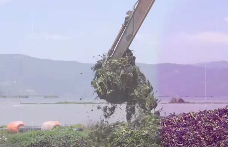 Entornos TV abordará |temas ambientales| y |proyectos sostenibles| del territorio + Video