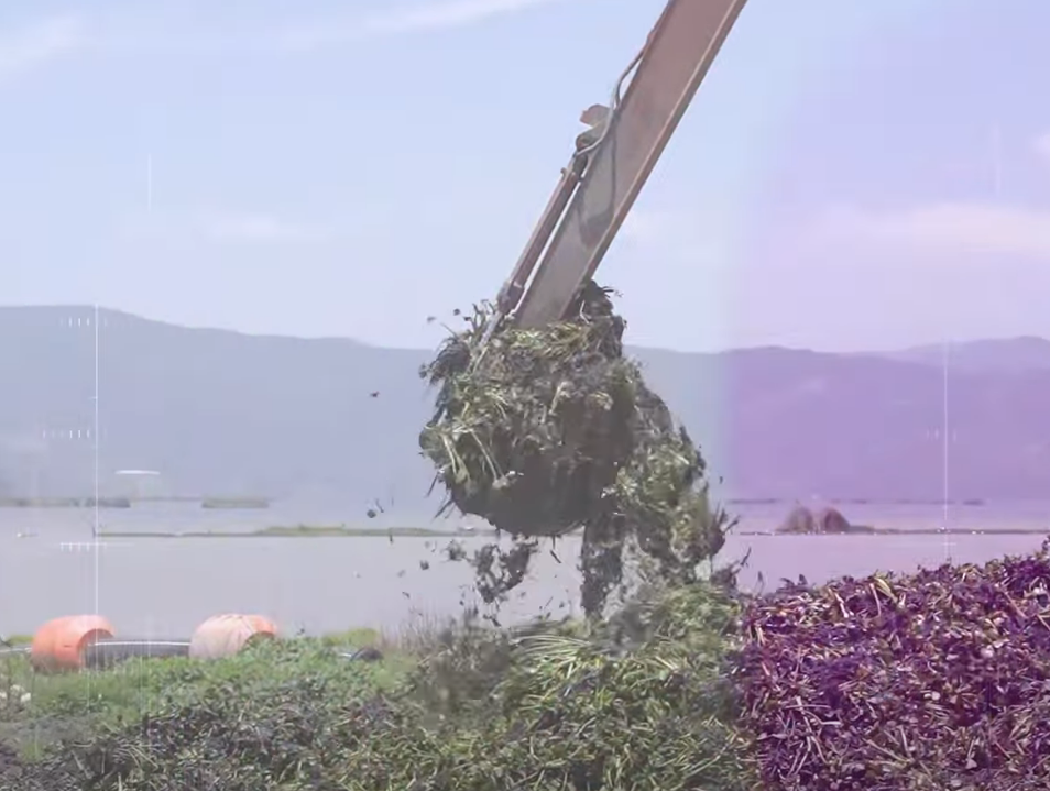 Entornos TV abordará |temas ambientales| y |proyectos sostenibles| del territorio + Video