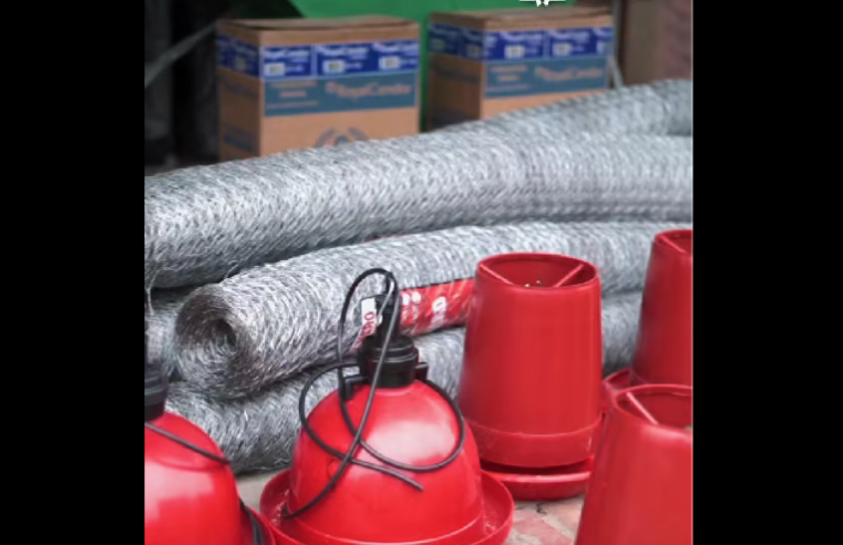 Alcaldía fortalece alianza con el |SENA| para impulsar formación y oportunidades en el municipio de |Ghachancipá| + Video