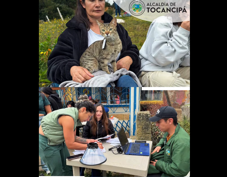 |Jornada de esterilización| beneficia a decenas de animales en |Alto Manantial| en |Tocancipá| + Video