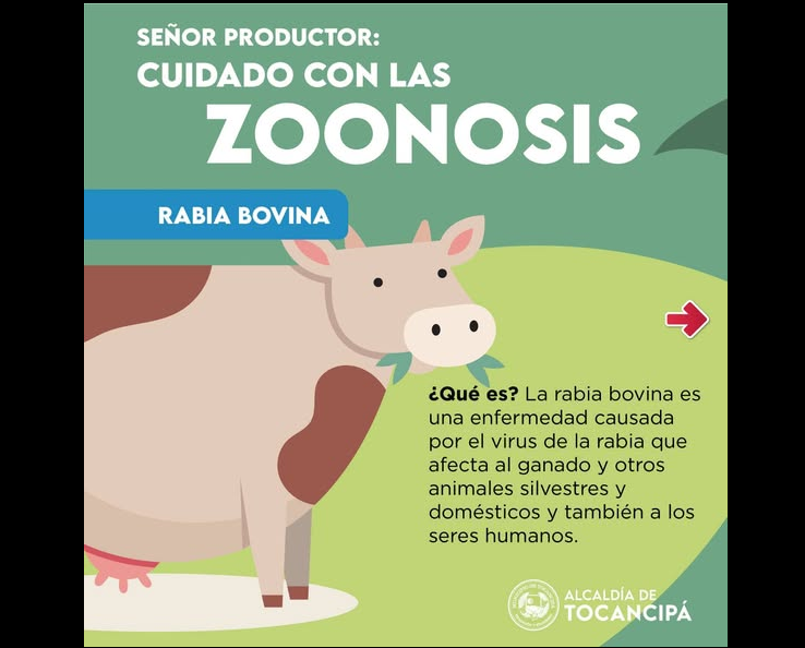 Autoridades alertan sobre la |rabia bovina| y refuerzan |medidas de prevención|