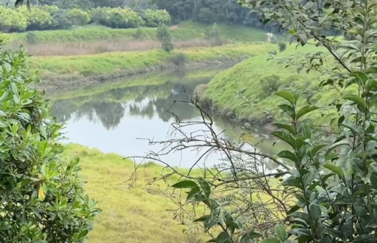 Alianza a 10 años impulsará la recuperación de la ronda del |río Bogotá| + Video