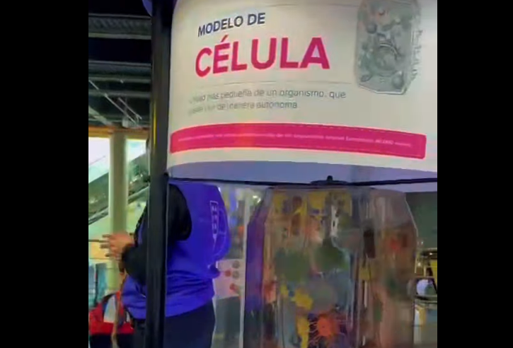 Niñez de |Sopó| fortalece su aprendizaje con experiencia educativa en |Maloka| + Video