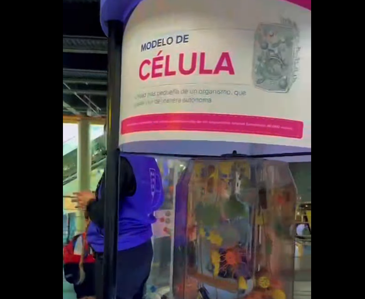 Niñez de |Sopó| fortalece su aprendizaje con experiencia educativa en |Maloka| + Video