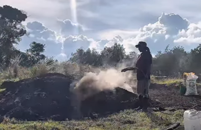|Quema ilegal| en |Nemocón| generaba grave |afectación ambiental| + Video