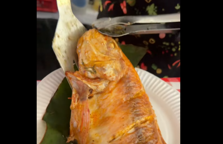 |Fish Festival| en |Chía| cerró con éxito y dinamizó la |economía local| + Video