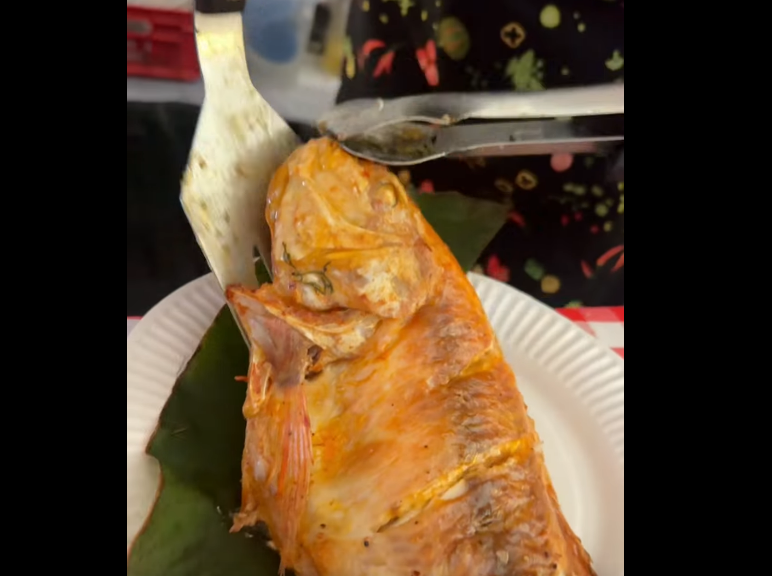 |Fish Festival| en |Chía| cerró con éxito y dinamizó la |economía local| + Video