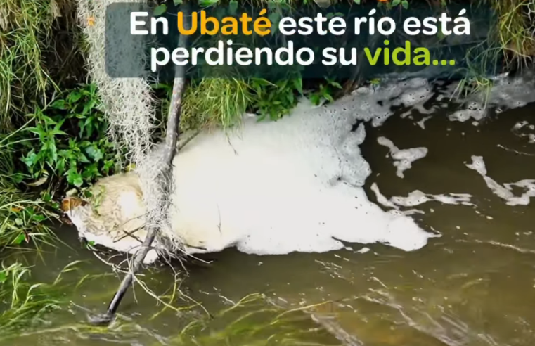 |Río Ubaté| en riesgo: llamado a la acción para su |protección| + Video