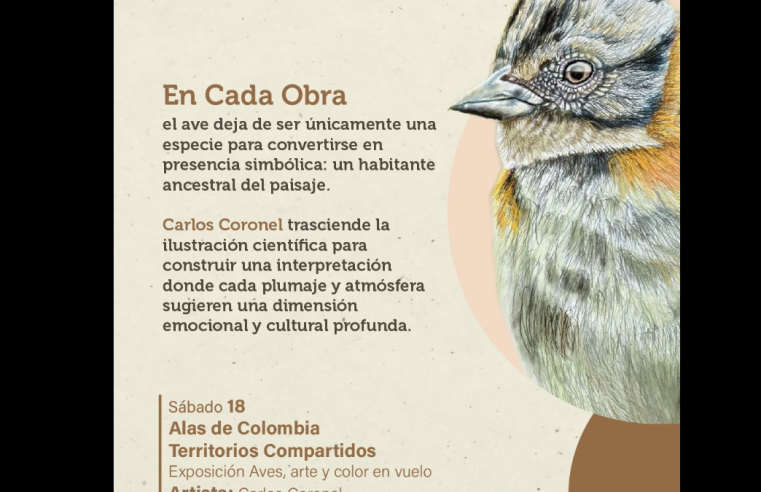 |Exposición| “Alas de Colombia” invita a redescubrir la |naturaleza| a través del |arte|