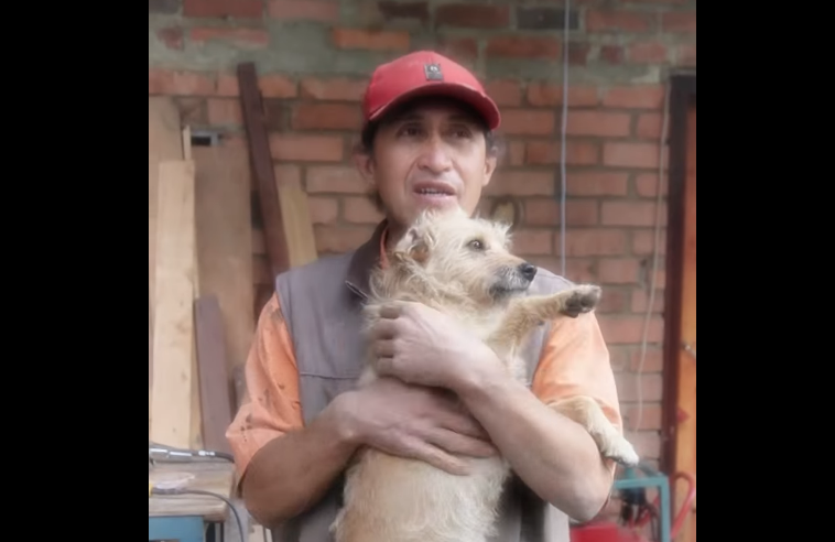 Historia de |vocación| y |esperanza|: rescatista transforma la vida de animales en |Zipaquirá| + Video
