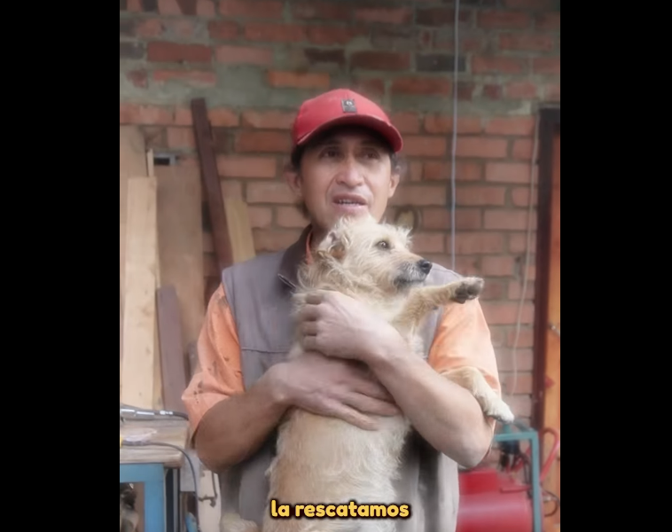 Historia de |vocación| y |esperanza|: rescatista transforma la vida de animales en |Zipaquirá| + Video