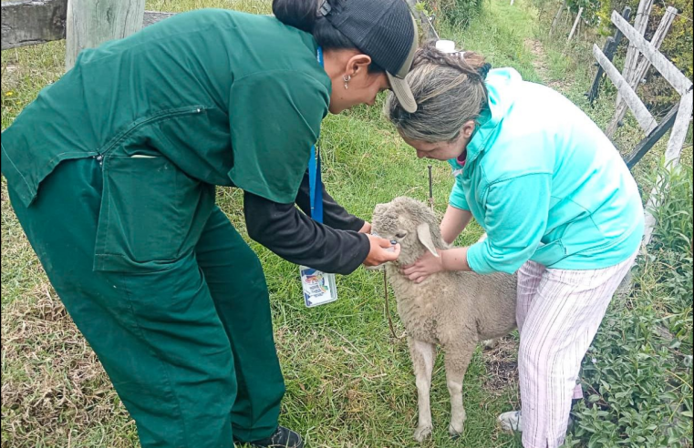 |Sopó| acerca servicios |agropecuarios| a la vereda Mercenario con |jornada integral|