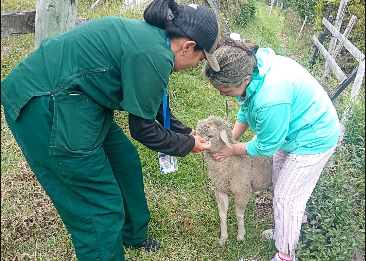 |Sopó| acerca servicios |agropecuarios| a la vereda Mercenario con |jornada integral|