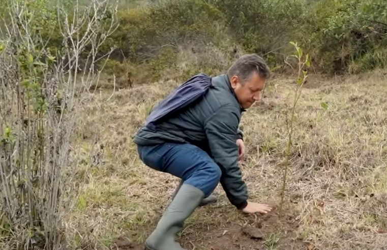 |Cundinamarca| ampliará programa de |Pago por Servicios Ambientales| en 2026 + Video