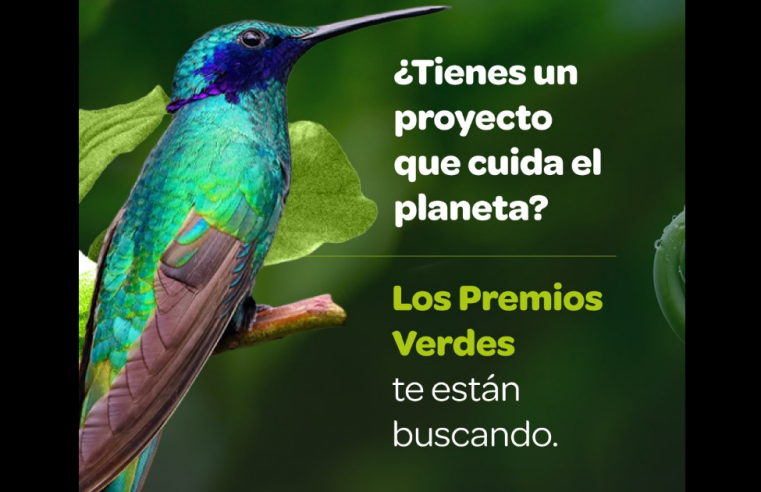 |Premios Verdes| abren convocatoria para proyectos que promueven la |sostenibilidad|