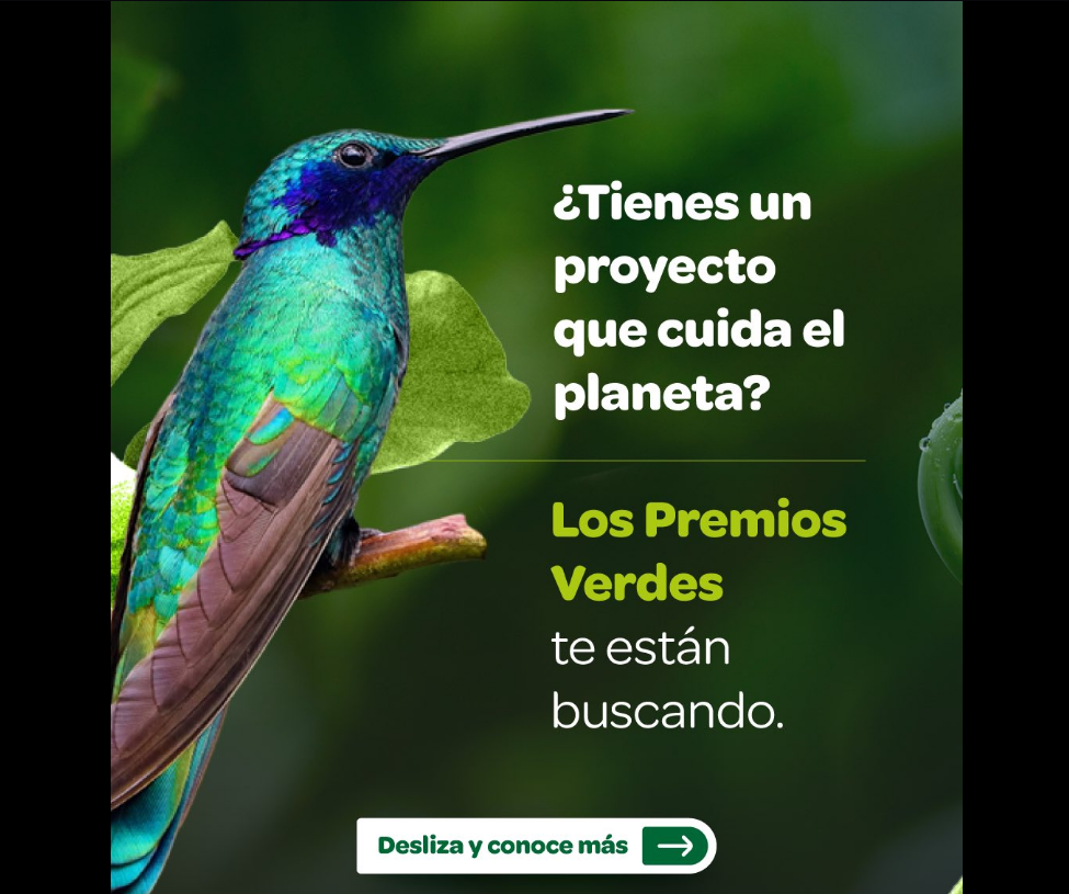 |Premios Verdes| abren convocatoria para proyectos que promueven la |sostenibilidad|