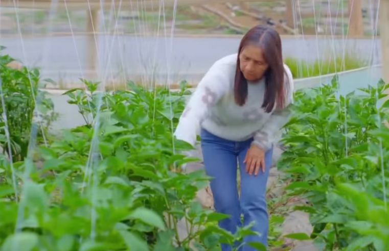 Capítulo de “Entornos TV” desde |Fúquene| destaca iniciativas |ambientales| y |comunitarias| + Video