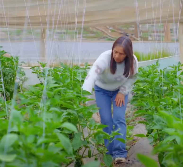 Capítulo de “Entornos TV” desde |Fúquene| destaca iniciativas |ambientales| y |comunitarias| + Video