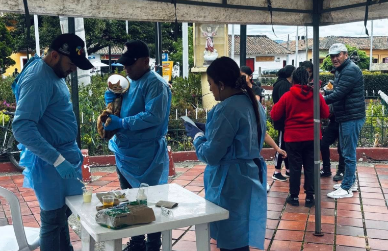 Jornada “Día Súper Guau” benefició a 147 mascotas en |Nemocón|