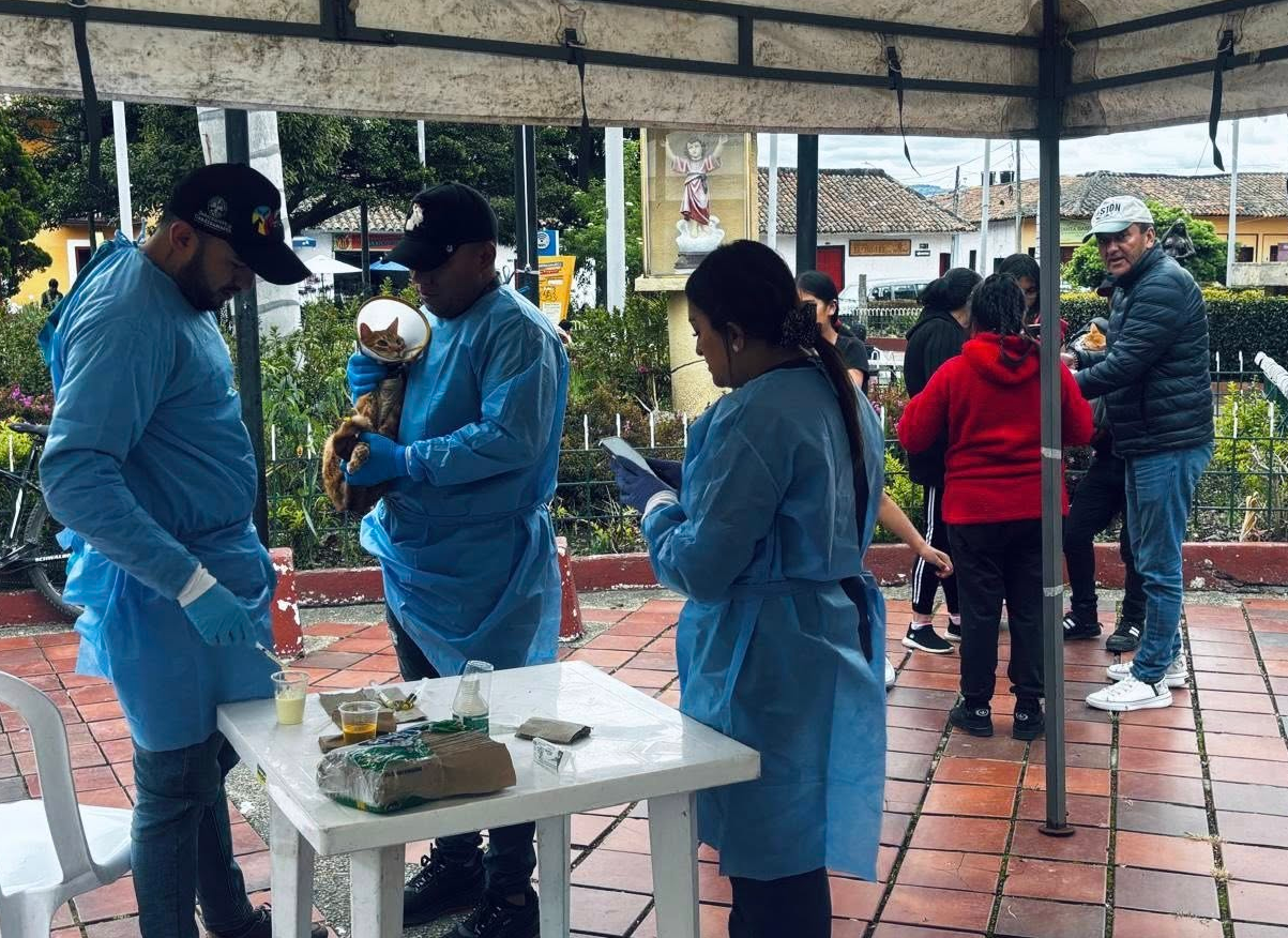 Jornada “Día Súper Guau” benefició a 147 mascotas en |Nemocón|